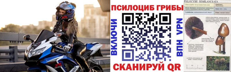 Псилоцибиновые грибы ЛСД  Белёв 